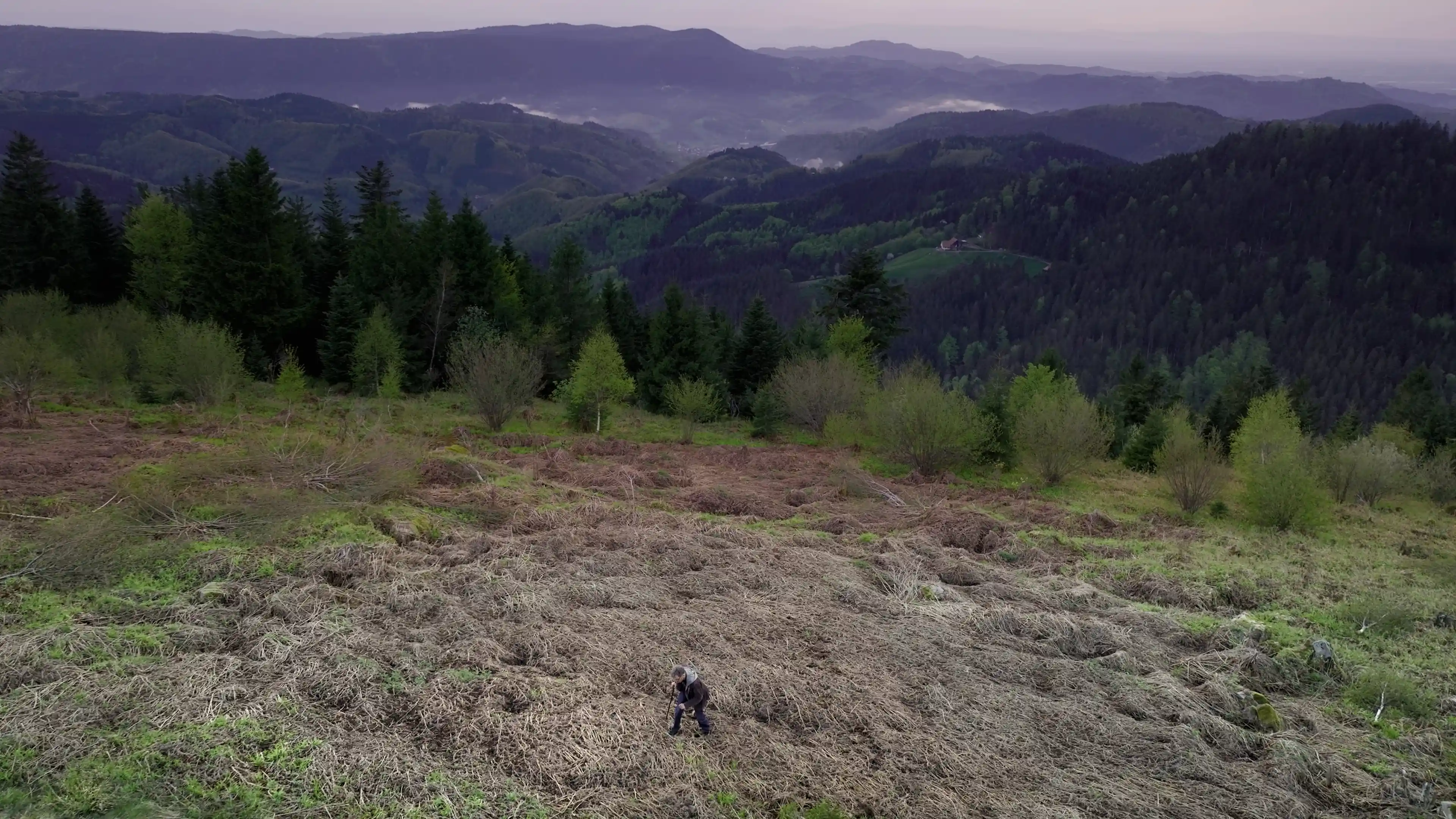 Filmbild - Schwarzwald